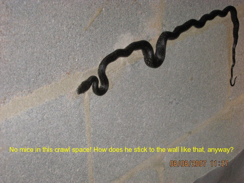 Home inspection photo Gainesville Georgia