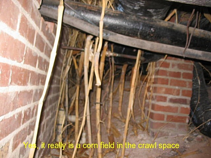 Home inspection photo Gainesville Georgia